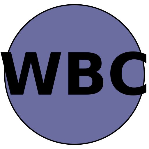 Wise Beauty Consulting